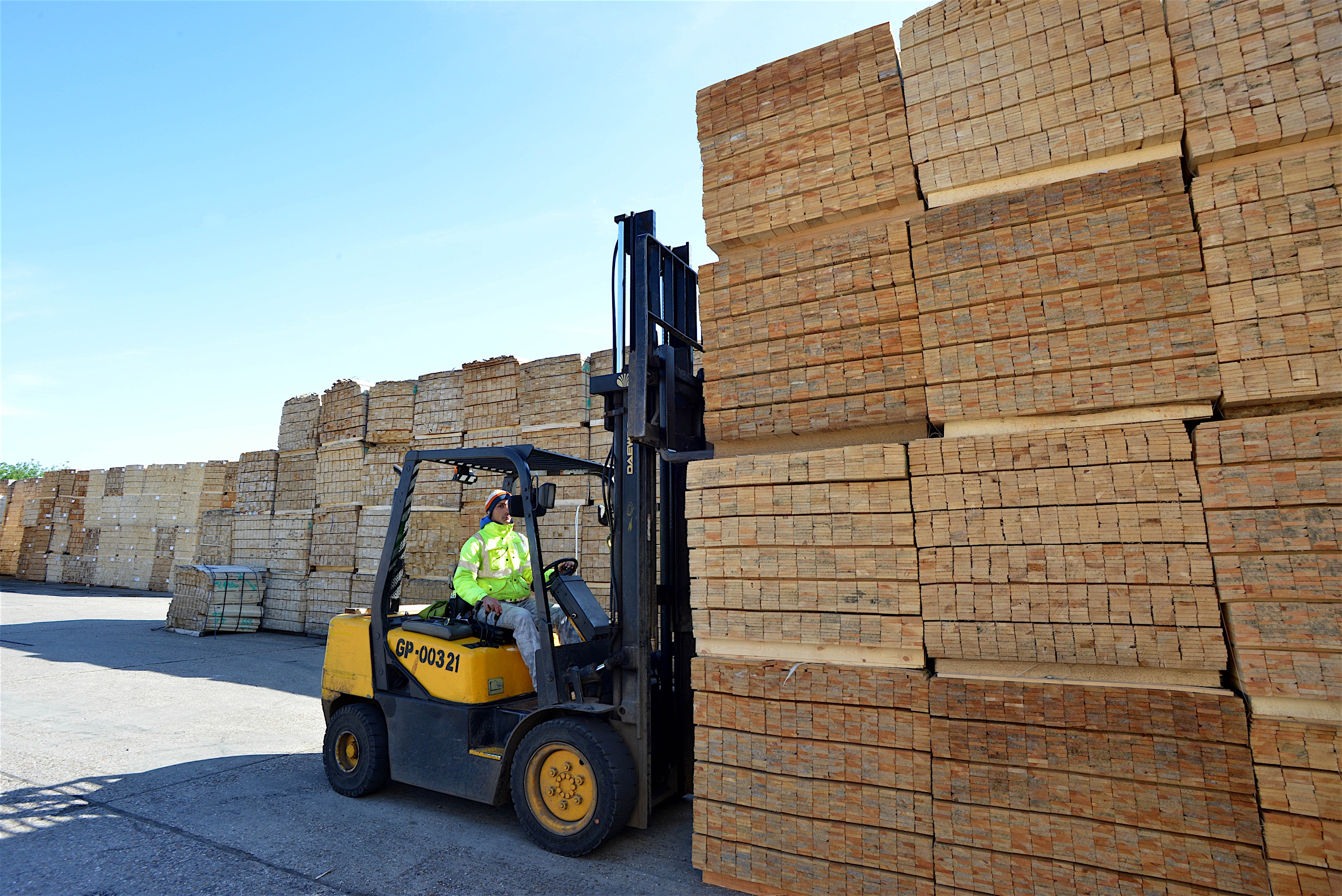 News Galleywood Timber